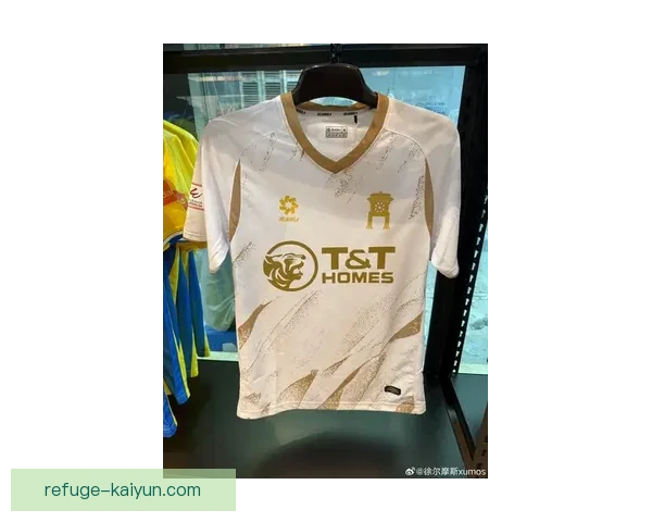 越南队金星队服展示新设计，备受关注的球队形象提升